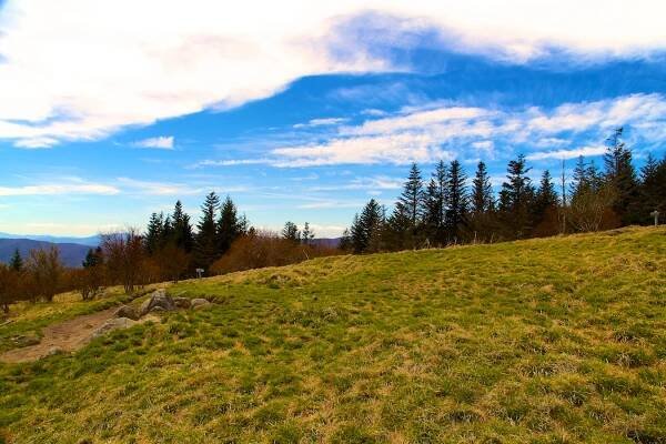 Andrews Bald/Fortney Ridge Trail