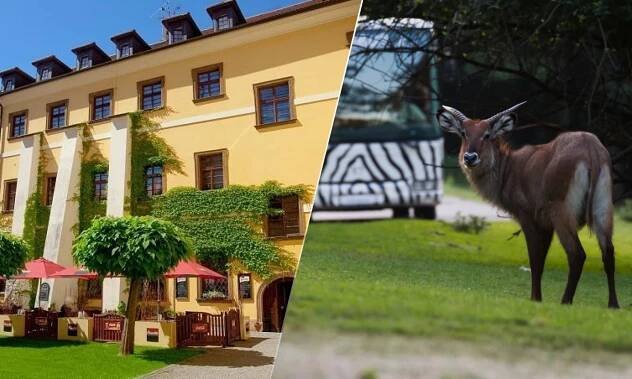 Hradec Králové i africké safari: Pobyt se snídaní od 2 290 Kč