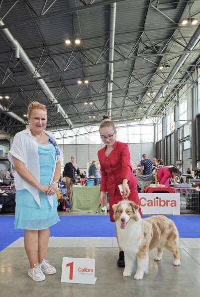 FALLCAT beagles & aussie