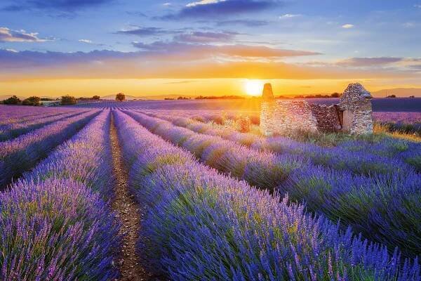 Provence s koupáním 2021