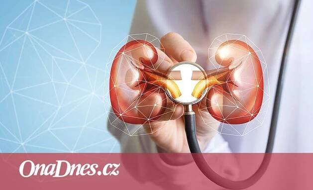 Šest varovných signálů, proč si nechat vyšetřit ledviny - iDNES.cz