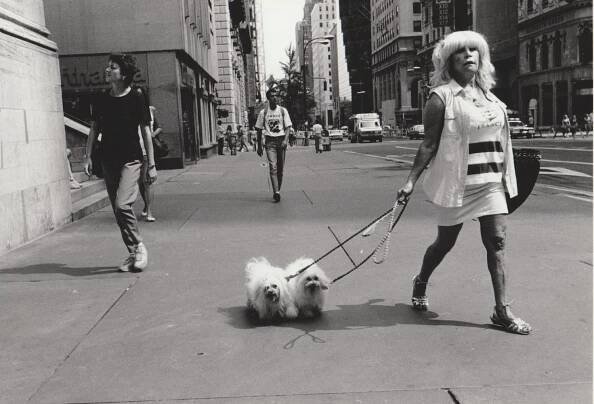 Gift Ideas for Dog Lovers — PDNB Gallery | Photographs Do Not Bend Gallery | Art Gallery in Dallas, Texas
