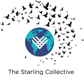The Starling Collective - GivingTuesday