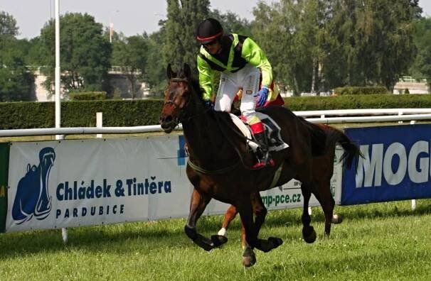 Pardubice: Nejvíce sil v kvalifikaci měl Karlsbad | Dostihový svět