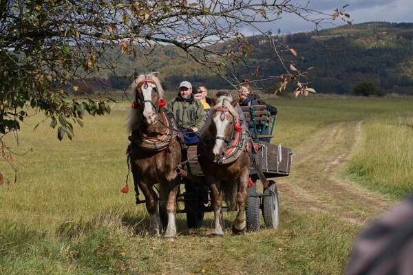 FOTO: Na ranči ve Veselíčku to žilo koňmi. Přijel i otec vítěze Velké pardubické