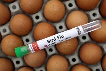 Objeveno největší ohnisko ptačí chřipky: Utratit bude nutné 70 tisíc slepic na Třebíčsku!