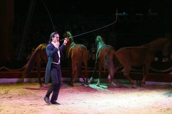 PODÍVEJTE SE: Půvabná akrobatka i špičková drezura. Přijel cirkus Humberto