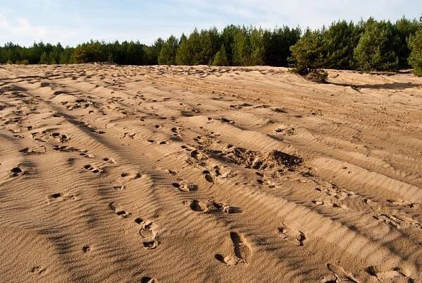 Největší poušť ve střední Evropě vznikla kvůli těžbě stříbra a olova | Cestovinky