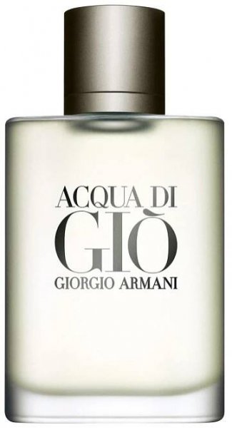 Giorgio Armani Acqua Di Gio EDT 100 ml