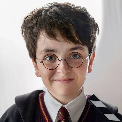 Harry Potter director takes swipe at HBO series after first look at Nick Frost's Hagrid