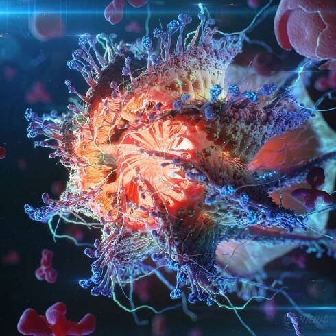 Hepatitis C Virus Animation – Scientific Animation by Newt Studios