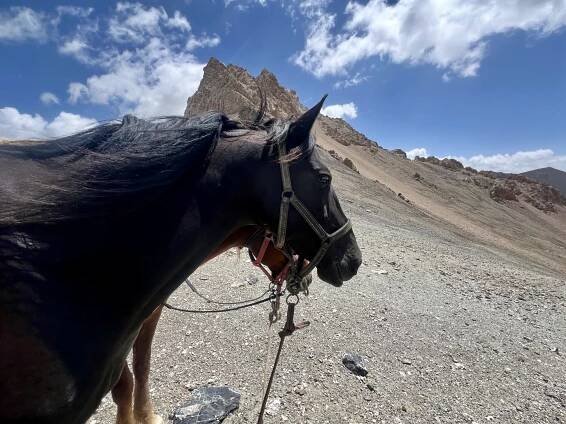 Short ride Kyrgyzstan 2024 | Horsemenistán