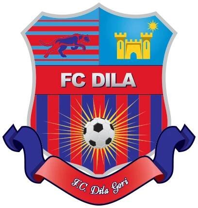 FC_DilaGori.website