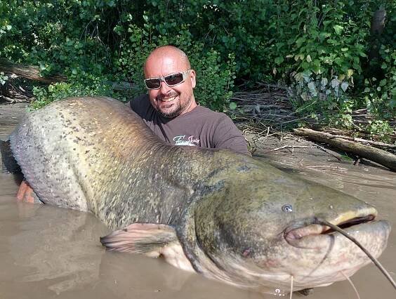 LOV SUMCŮ NA PÁDU ČERVEN 2023 - Fishing Italy