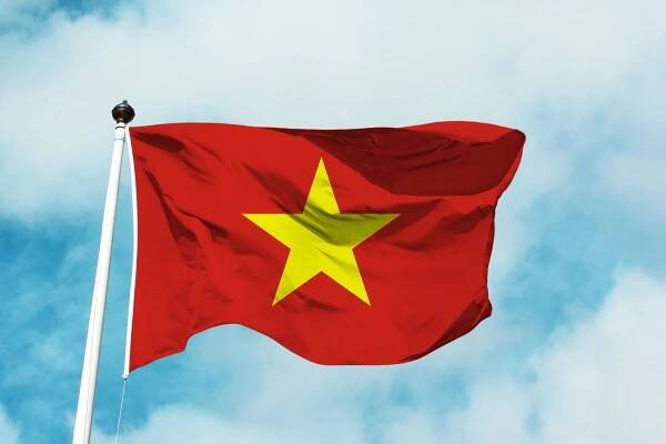 vn