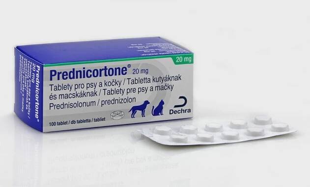 PREDNICORTONE 20 mg tablety pro psy a kočky – Sevaron
