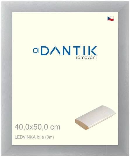 DANTIK rámeček na obraz 40x50