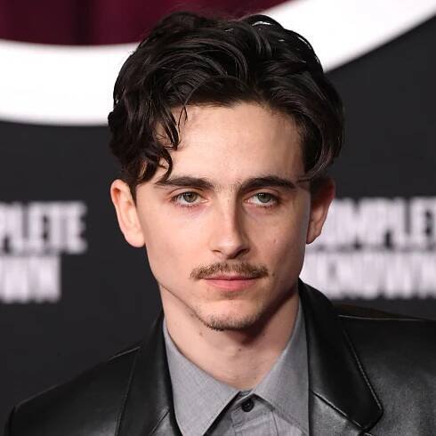Please Hold Space For Timothée Chalamet’s Little Mustache