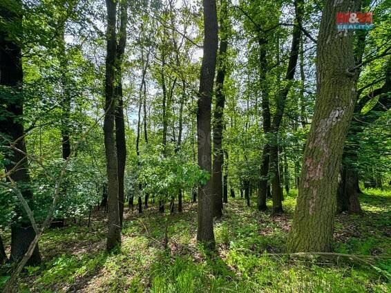 Prodej Pozemek, Vráž, okres Beroun