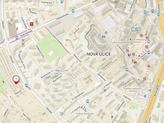 Sdílený pronájem garáže (Olomouc-Tabulový vrch)