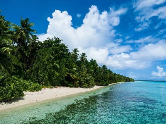 Ant Atoll