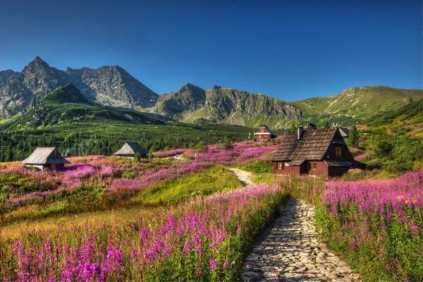 Okres Tatry