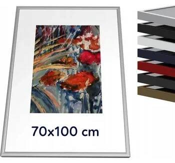 Kovový rám 70 x 100 cm, barva stříbrná matná