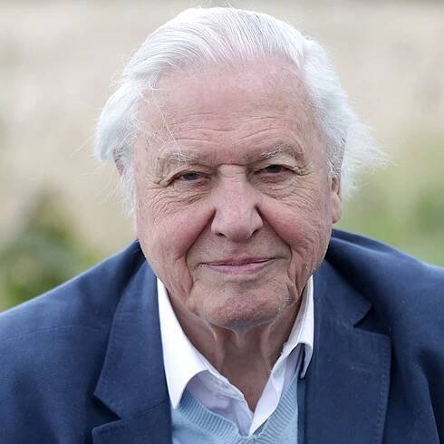 David Attenborough then vs now: take a look back at his early career