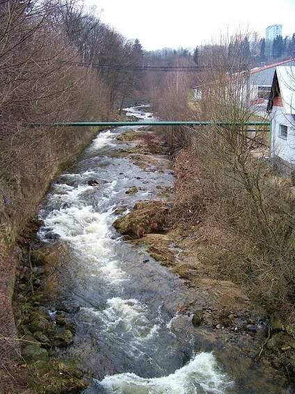 Rybaření KAMENICE 2 B - Fishsurfing