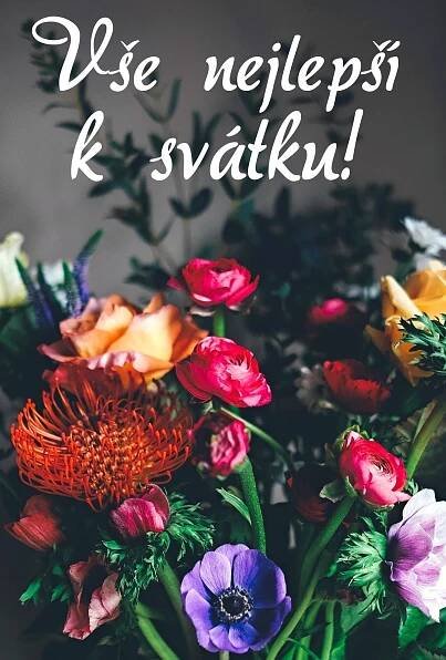 Klikněte pro zobrazení původního (velkého) obrázku
==============
Přání k svátku
 - přání a blahopřání k svátku ke stažení zdarma. Foto květiny s textem v tiskové kvalitě. Rozměry 17 x 11,5 cm pro obálku B6.
Klíčová slova: přání k svátku,blahopřání k svátku
