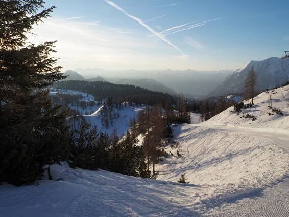 Tauplitzalm