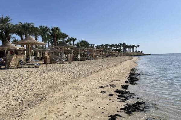 Hotel Brayka Bay Resort, Egypt Marsa Alam - 7 599 Kč Invia