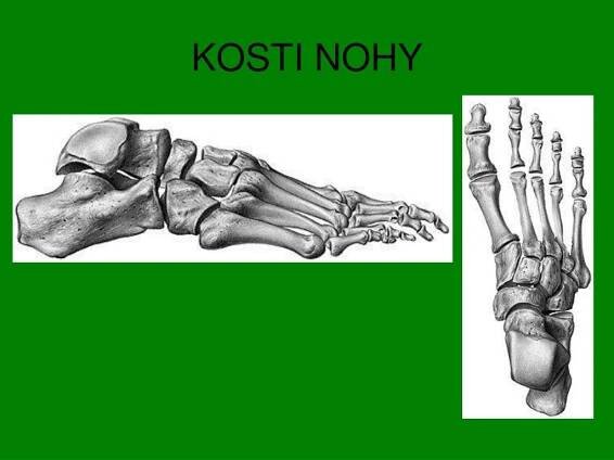 PPT - POZNÁVAČKA PowerPoint Presentation, free download - ID:3518853