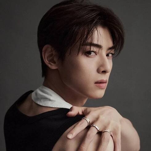 Cha Eun Woo 70