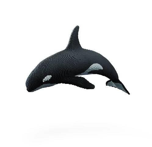 Dean West & Nathan Sawaya, Orca, 2019