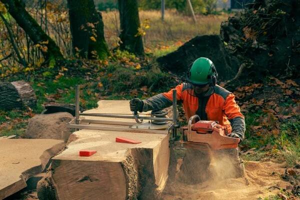 On a sunny autumn day, an oak log is given a second life by sawing it on wide boards using a portable mobile chainsaw mill