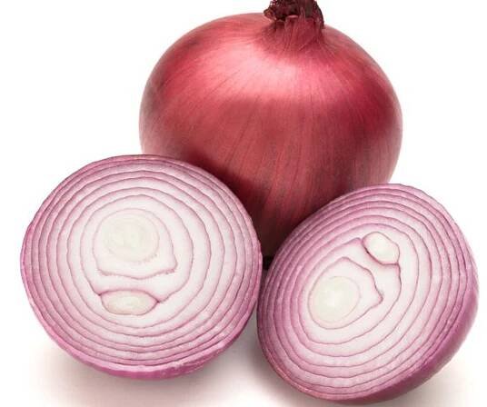 Red Nugent Hybrid Onion
