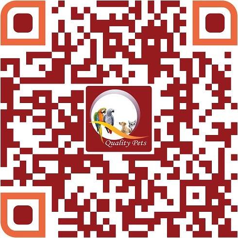 Quality Pets Online - All that your pets need - Free Delivery in Abudhabi