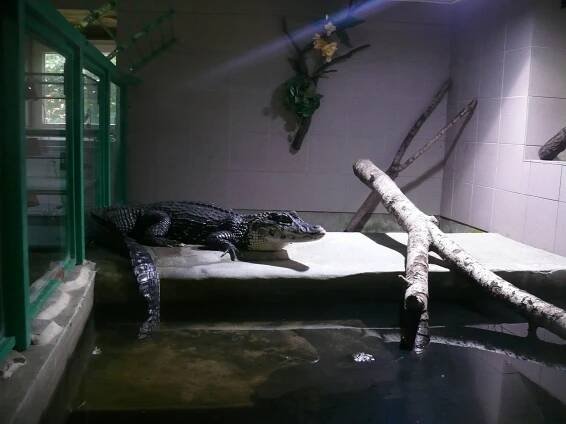 Krokodýlí ZOO Protivín | České Budějovice