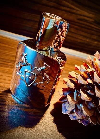 Pegasus Parfums de Marly pro muže