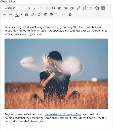 Classic editor control preview