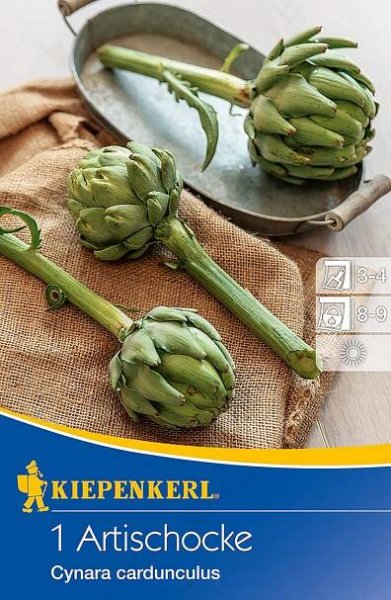 Kiepenkerl Semena zeleniny Artyčok doba výsevu: únor až duben; vydatnost balení: 1 ks