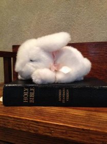 Jesus vs. the Easter Bunny
