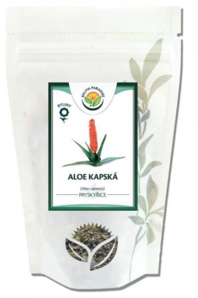 Aloe kapská - pryskyřice 1kg Salvia Paradise - GastroKlub.cz