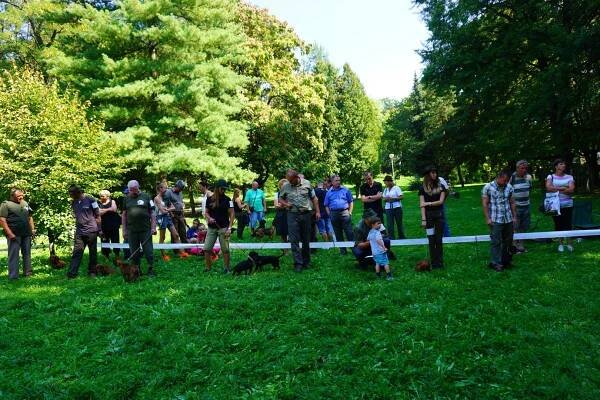 » 1. Klubová výstava Humenné 2016