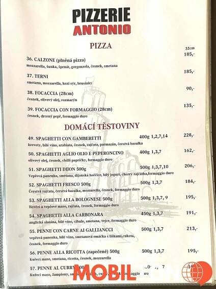 Pizzeria Antonio Čelákovice - Na Stráni 167 - pizzerie v na stráni 167
