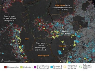 amazon fires fire deforestation 2020