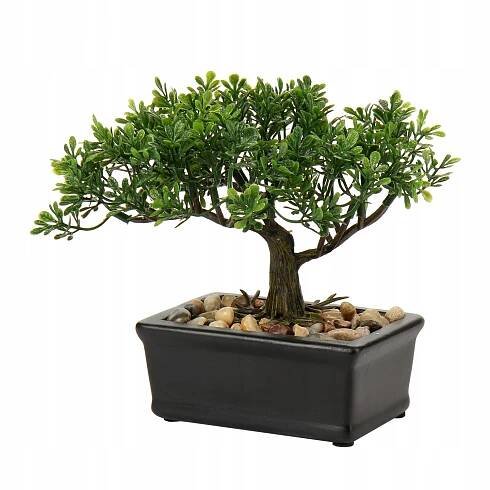 BONSAI Umelý Podocarpus Dekoračný stromček do domácnosti