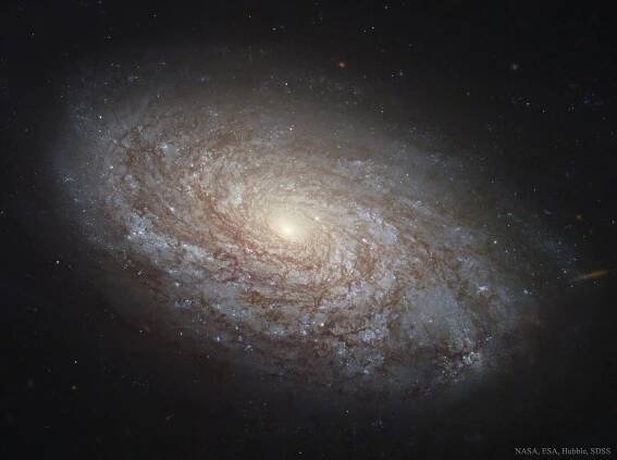 APOD: 2016 November 20 - NGC 4414: A Flocculent Spiral Galaxy 