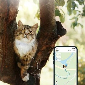 Tractive Cat GPS a GPS obojek pro kočky - sledování polohy a aktivity (2020) TRKAT1